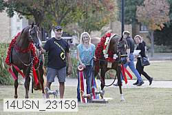 14usn_23159 proof