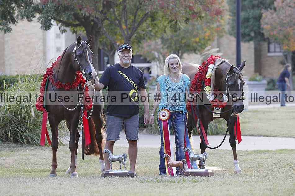Proof 14usn_23164