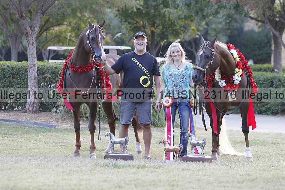 Proof 14usn_23176