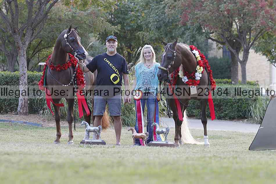 Proof 14usn_23184