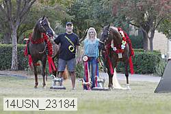 14usn_23184 proof