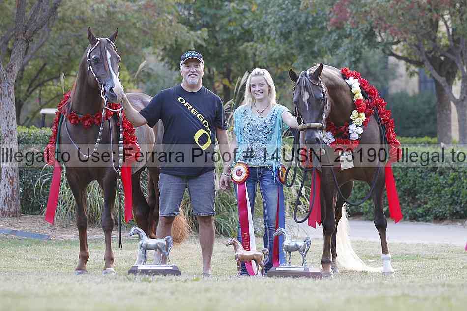 Proof 14usn_23190
