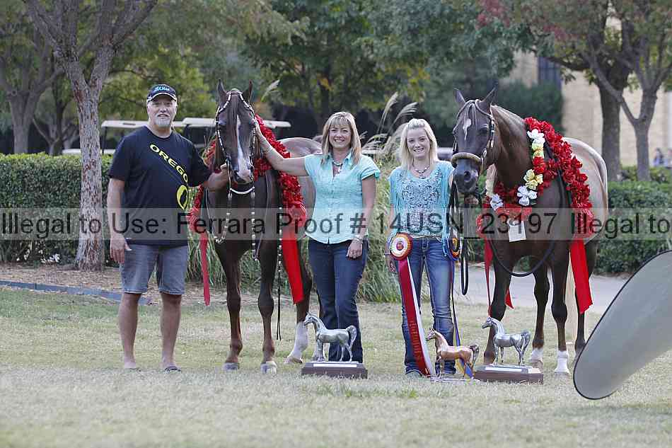 Proof 14usn_23197