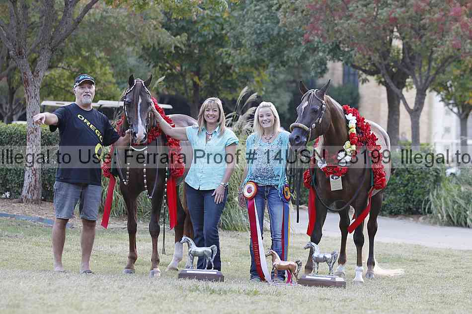 Proof 14usn_23199