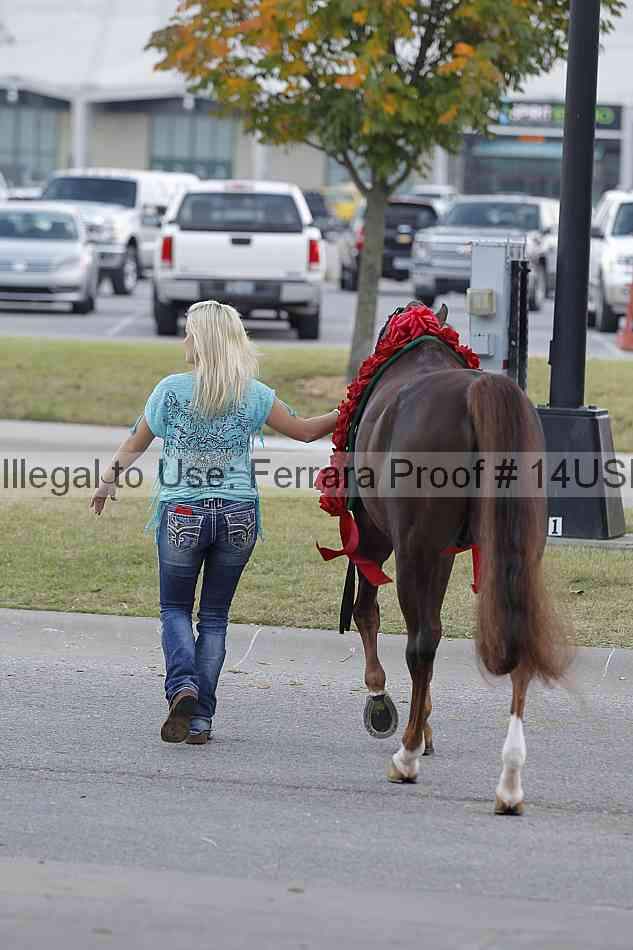 Proof 14usn_23210