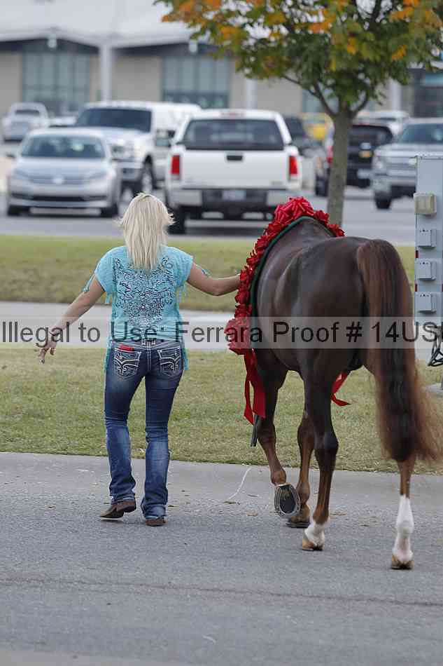 Proof 14usn_23211
