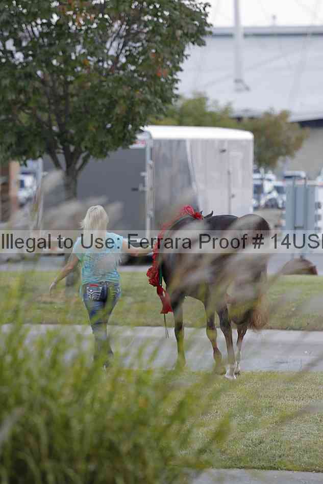 Proof 14usn_23213