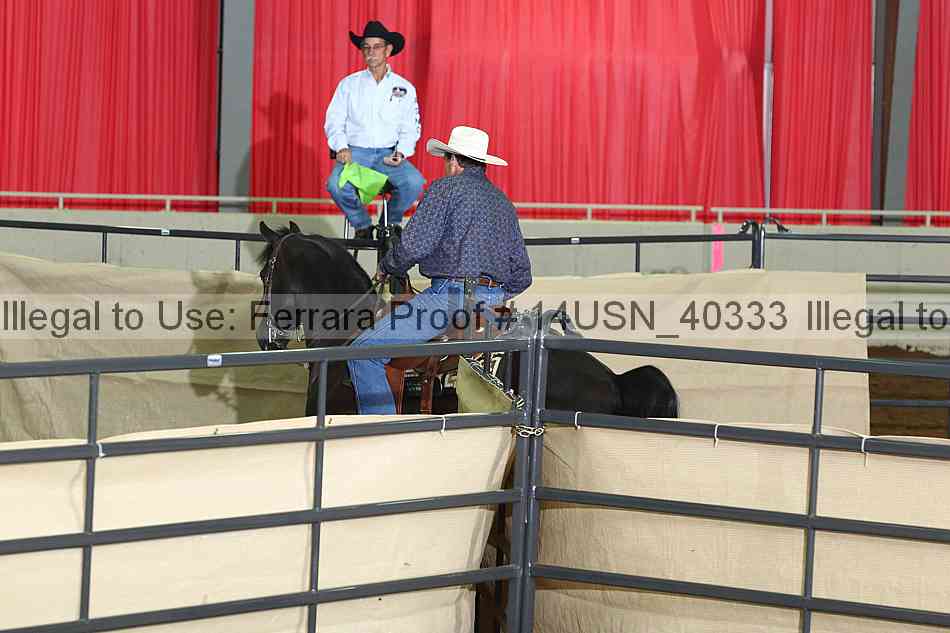 Proof 14usn_40333