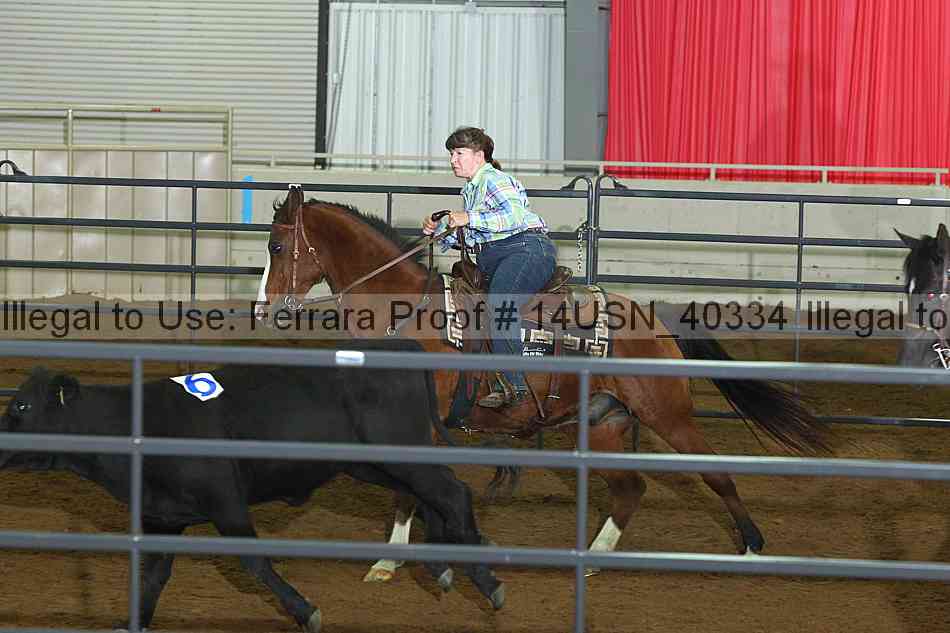 Proof 14usn_40334