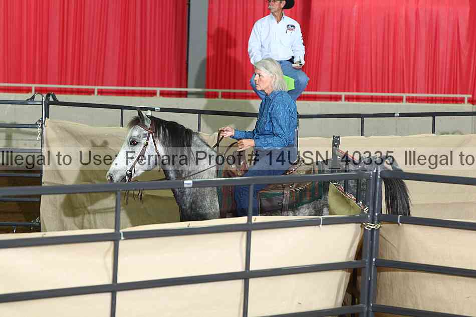 Proof 14usn_40335