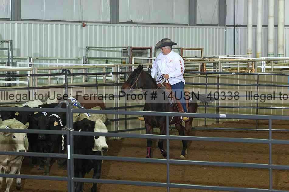 Proof 14usn_40338