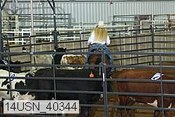 14usn_40344 proof