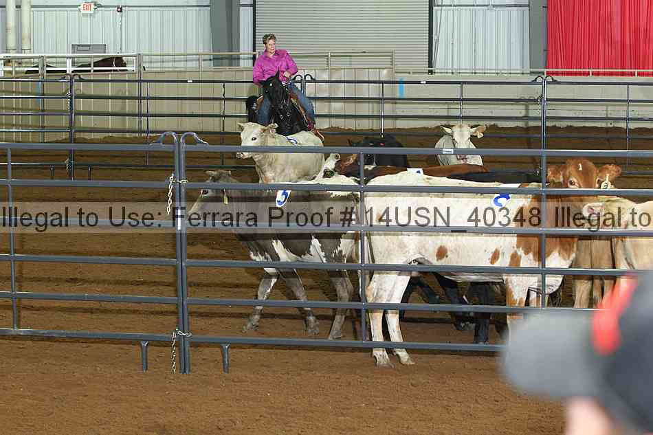 Proof 14usn_40348
