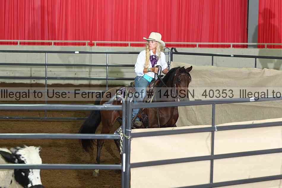 Proof 14usn_40353