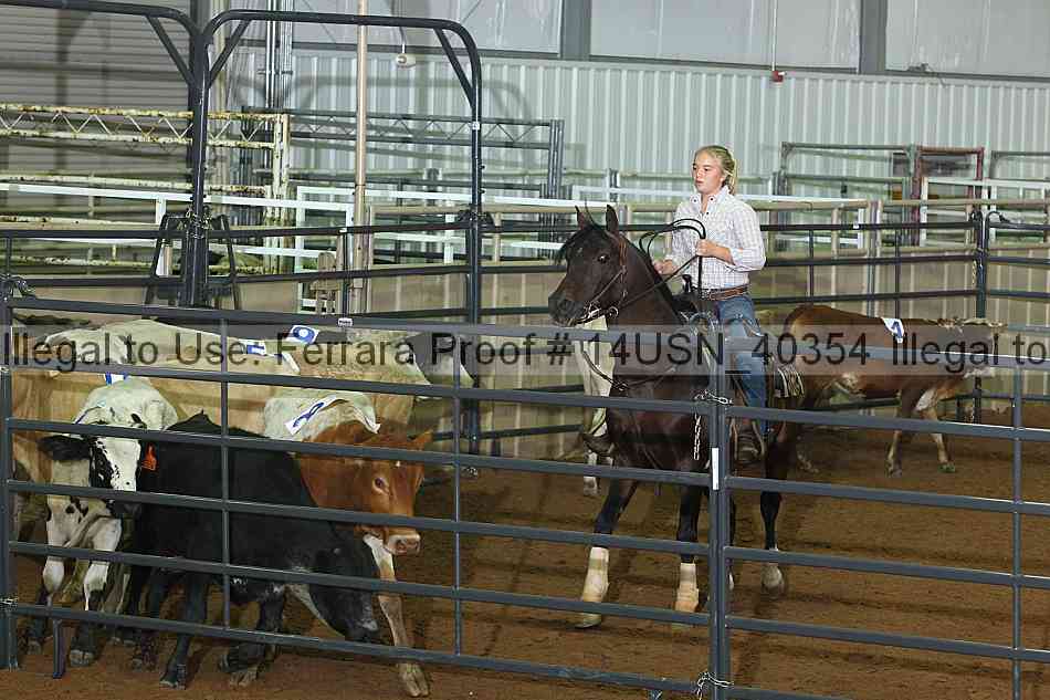 Proof 14usn_40354