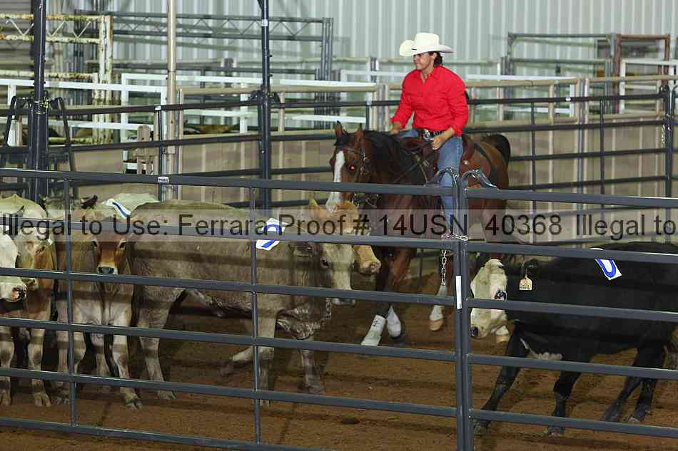Proof 14usn_40368