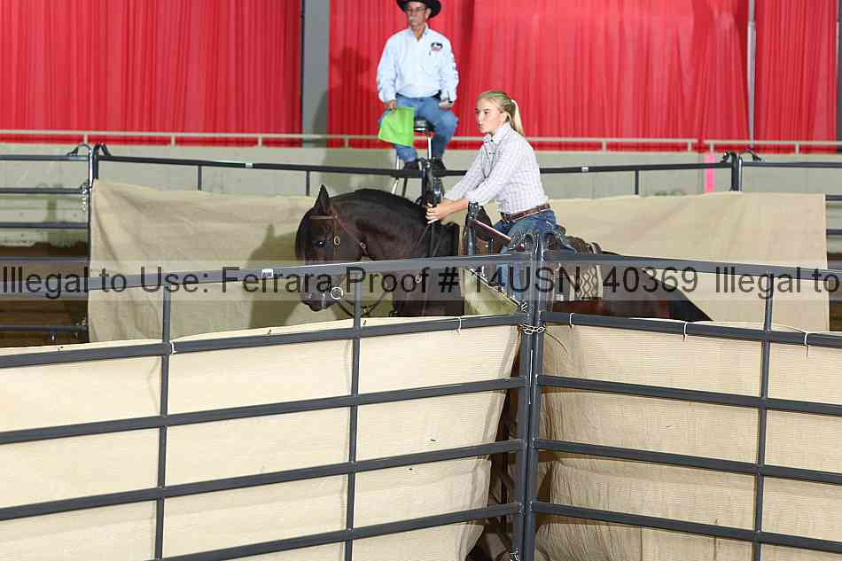 Proof 14usn_40369