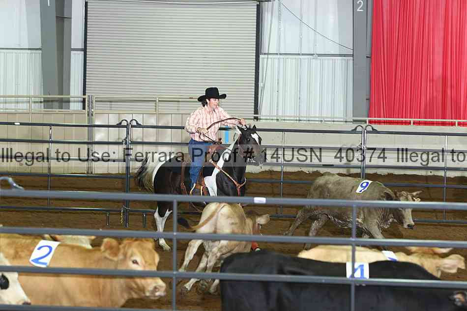 Proof 14usn_40374