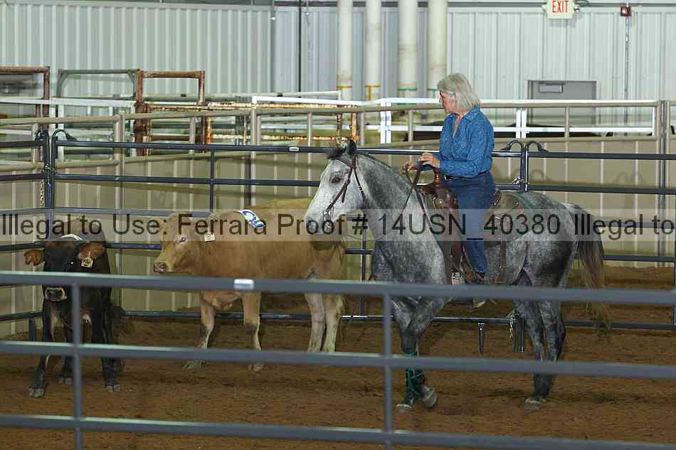 Proof 14usn_40380