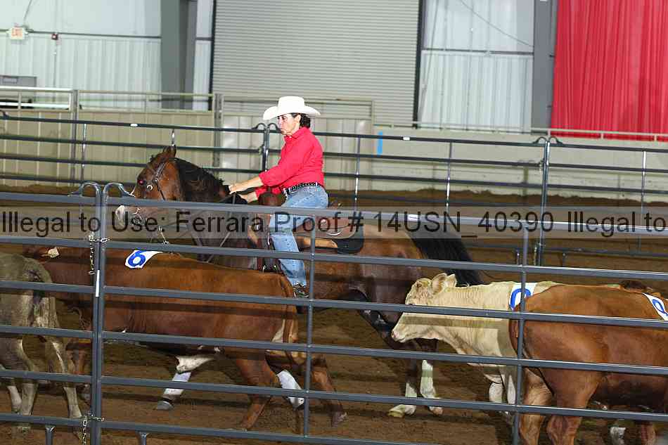 Proof 14usn_40390