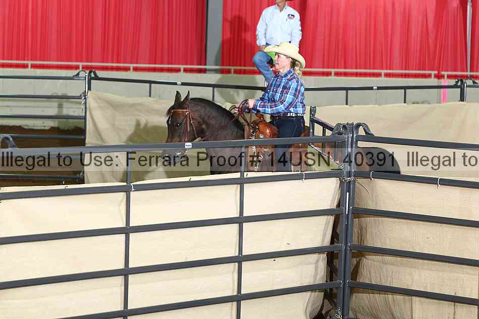 Proof 14usn_40391