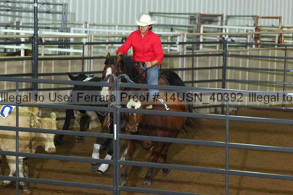 Proof 14usn_40392