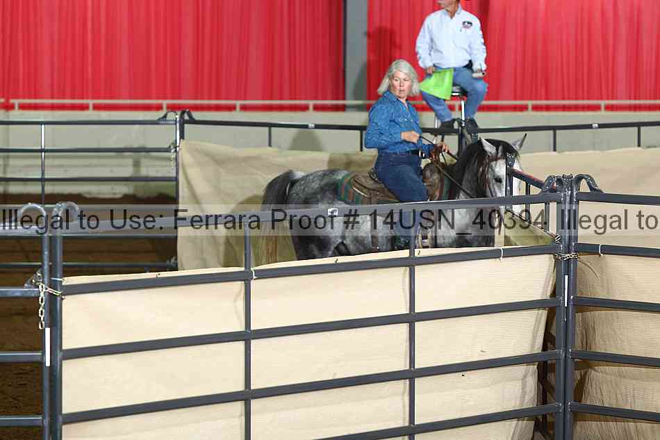 Proof 14usn_40394