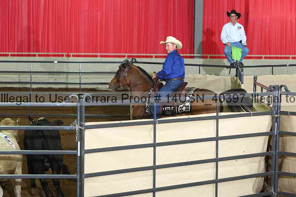 Proof 14usn_40397