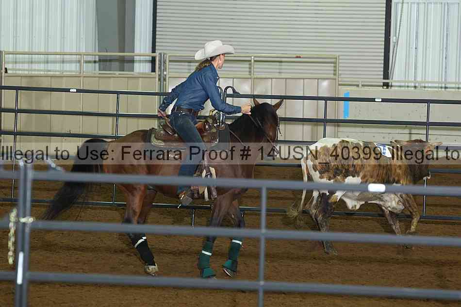 Proof 14usn_40399