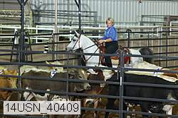 14usn_40409 proof