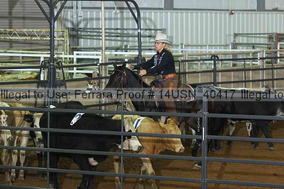 Proof 14usn_40417