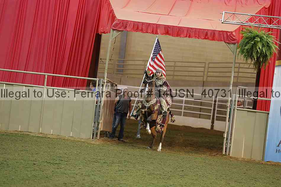 Proof 14usn_40731