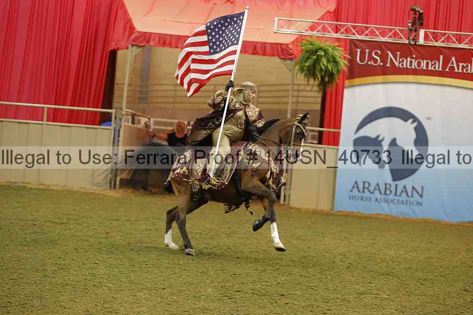 Proof 14usn_40733