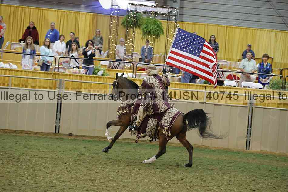 Proof 14usn_40745