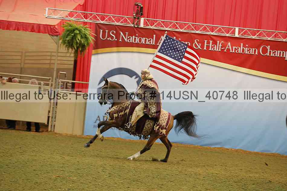 Proof 14usn_40748
