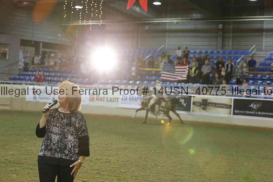 Proof 14usn_40775