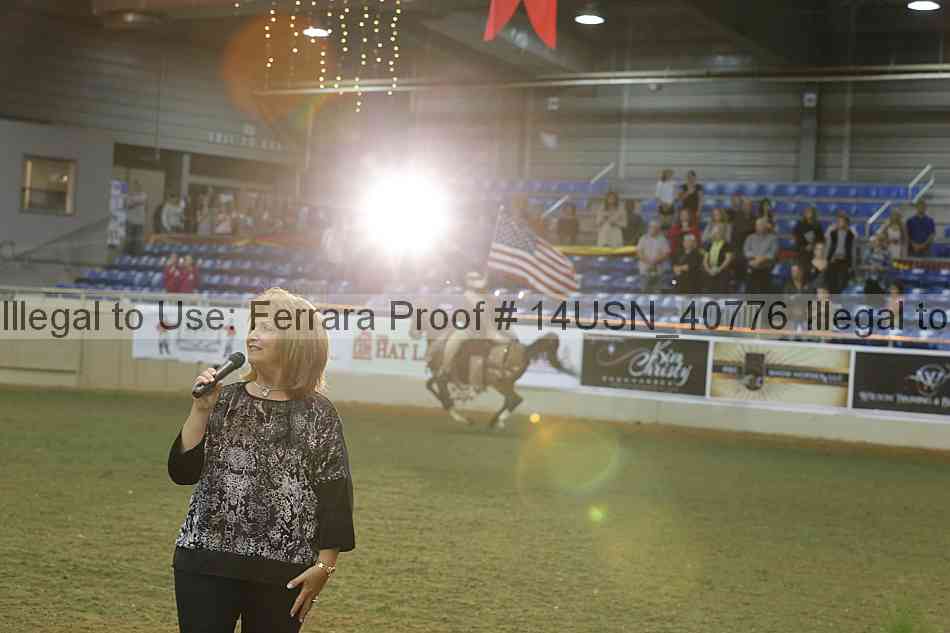 Proof 14usn_40776