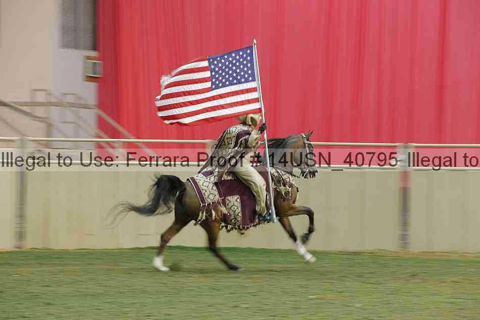 Proof 14usn_40795