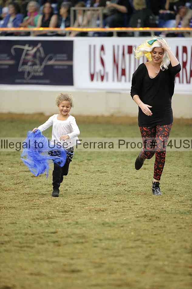 Proof 14usn_40984