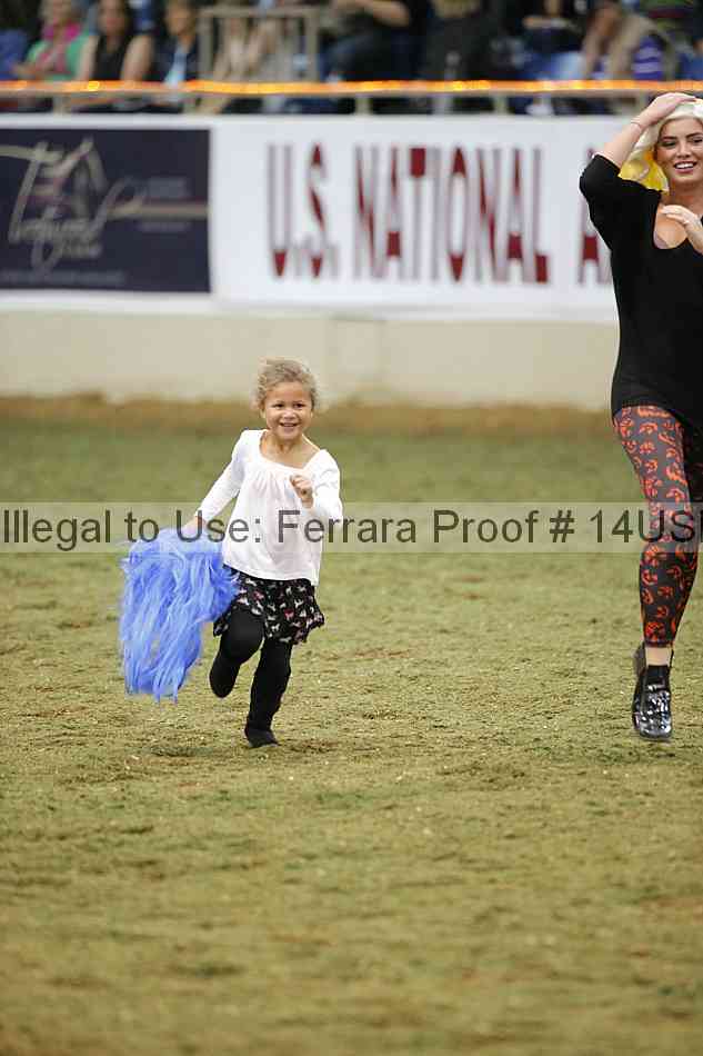 Proof 14usn_40985