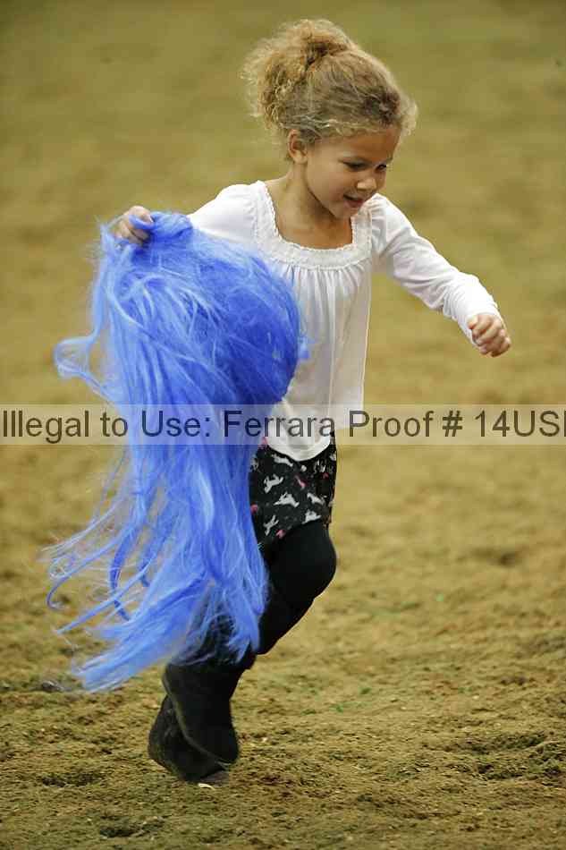 Proof 14usn_40987