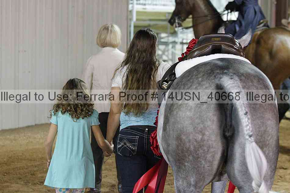 Proof 14usn_40668