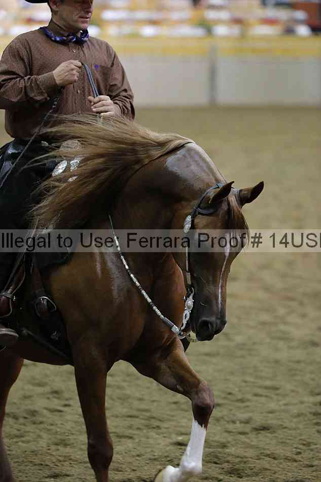 Proof 14usn_40674
