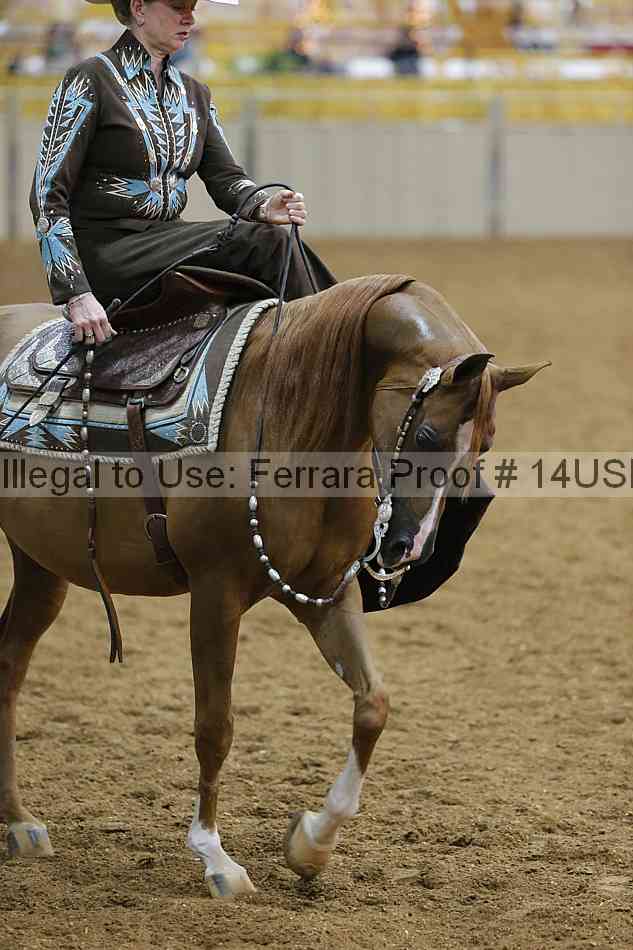 Proof 14usn_slideshow_07699