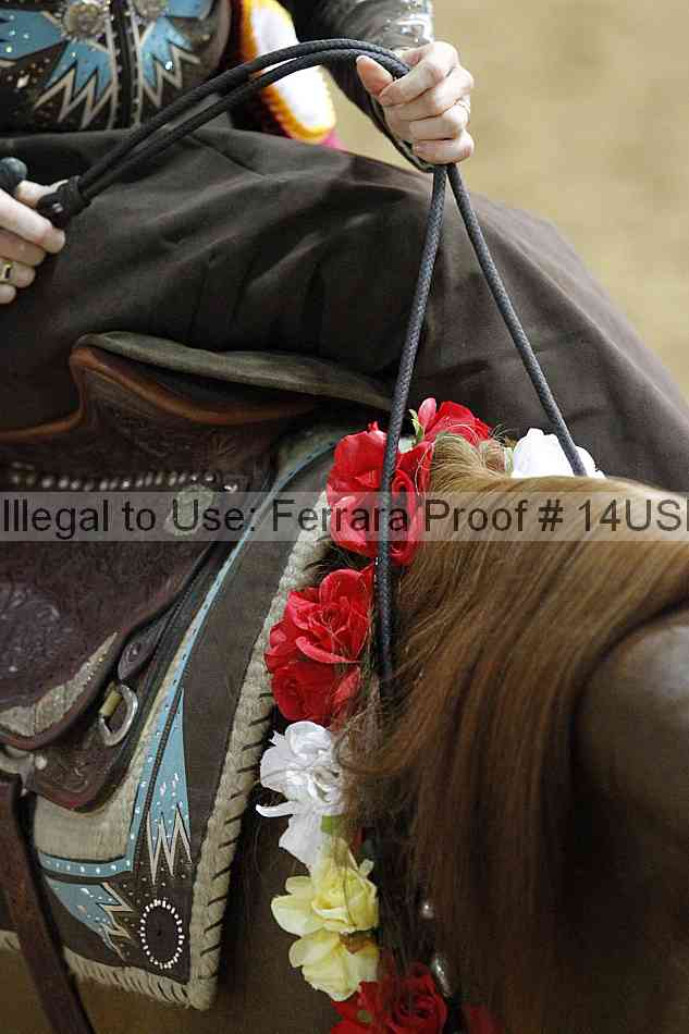 Proof 14usn_slideshow_07703