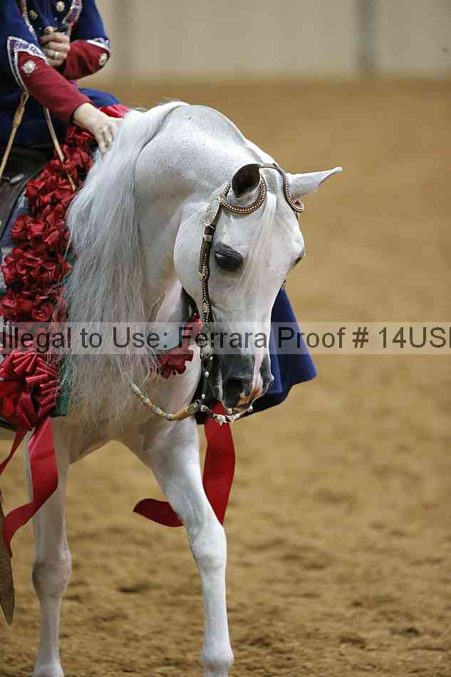 Proof 14usn_slideshow_07705