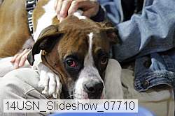 14usn_slideshow_07710 proof