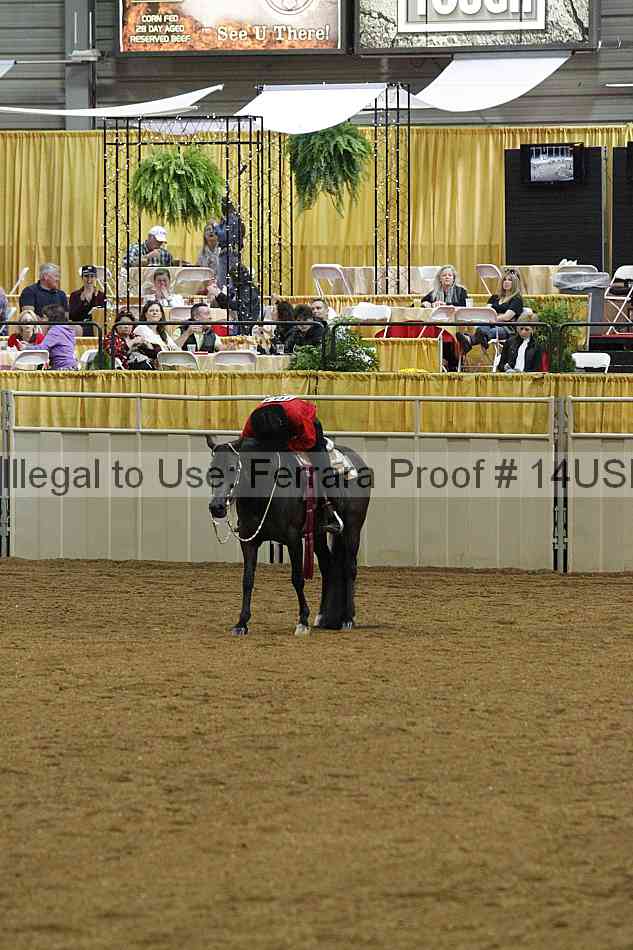 Proof 14usn_slideshow_07712