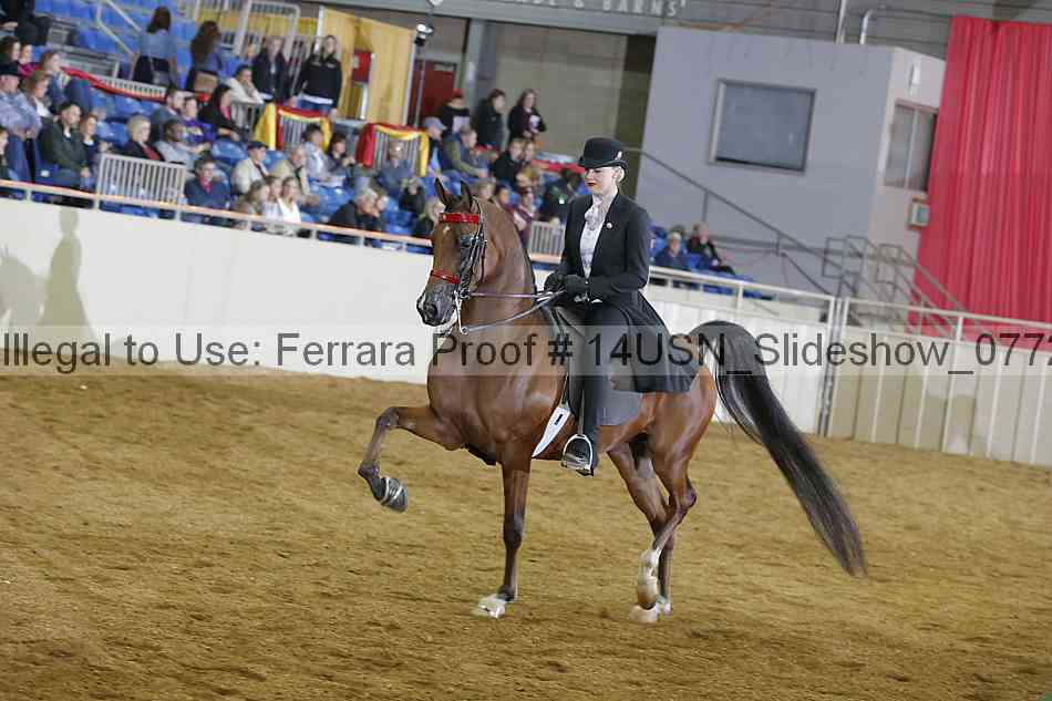 Proof 14usn_slideshow_07728