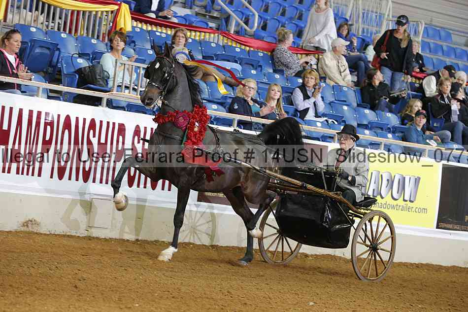 Proof 14usn_slideshow_07739